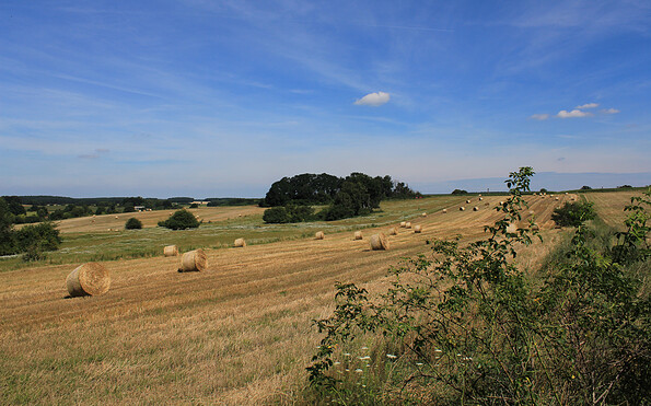 Landschaftblick am Heidehof, Foto: Bansen-Wittig