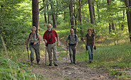 Aufstieg im hügeligen Naturpark, Foto: Dirk Fröhlich