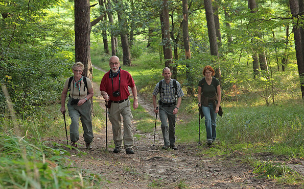 Aufstieg im hügeligen Naturpark, Foto: Dirk Fröhlich