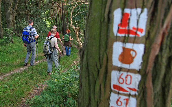 Baummarkierungen, Foto: Dirk Fröhlich