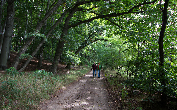Frische Waldluft atmen, Foto: Bansen-Wittig