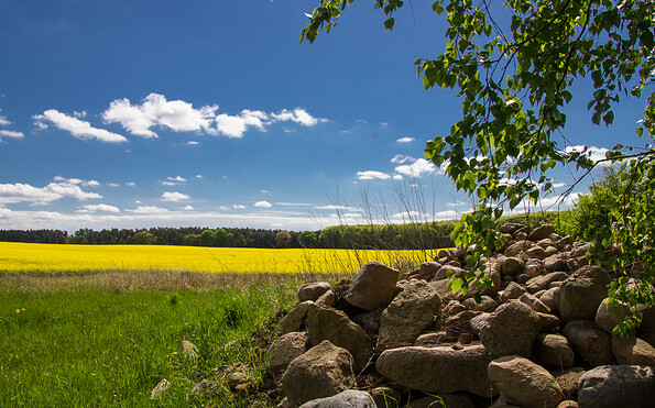 Steinreicher Fläming, Foto: Bansen-Wittig