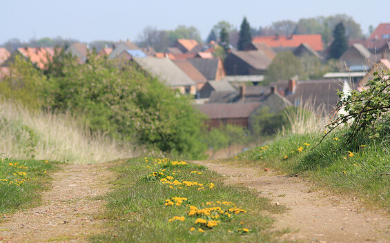 Blick auf Görzke, Foto: Bansen-Wittig