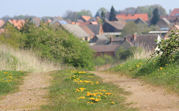 Blick auf Görzke, Foto: Bansen-Wittig