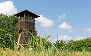 Observation tower in Selchow in the Sielmann nature reserve Groß Schauener Seen , Foto: Florian Laeufer, Lizenz: Seenland Oder-Spree