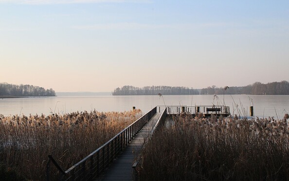 Scharmützelsee in winter, Foto: Tourismusverein Scharmützelsee