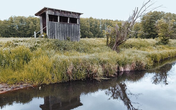 Aussichturm im Vogelbeobachtungsgebiet Altfriedland , Foto: Ulrich Dahl, Lizenz: Ulrich Dahl