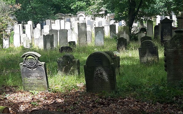Jüdischer Friedhof Potsdam, Foto: Anke Geißler-Grünberg, Lizenz: Förderverein Jüdischer Friedhof Potsdam