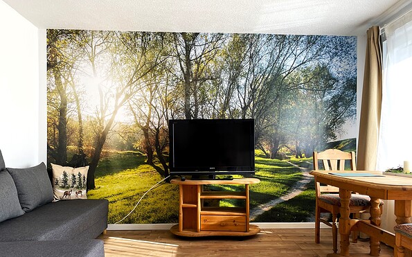 Wohnbereich Fuchsbau mit Sofa und TV, Foto: Ulrike Haselbauer, Lizenz: Tourismusverband Lausitzer Seenland e.V.