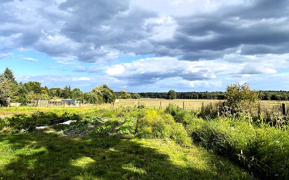 Impressionen, Foto: Ulrike Haselbauer, Lizenz: Tourismusverband Lausitzer Seenland e.V.