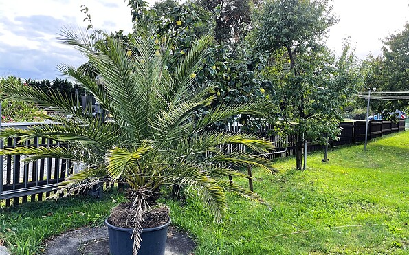 Impressionen, Foto: Ulrike Haselbauer, Lizenz: Tourismusverband Lausitzer Seenland e.V.