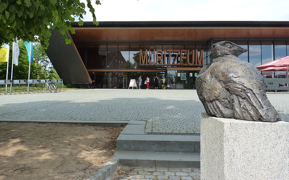 Die Eule von Walther Preik, Foto: Waren (Müritz)-Information