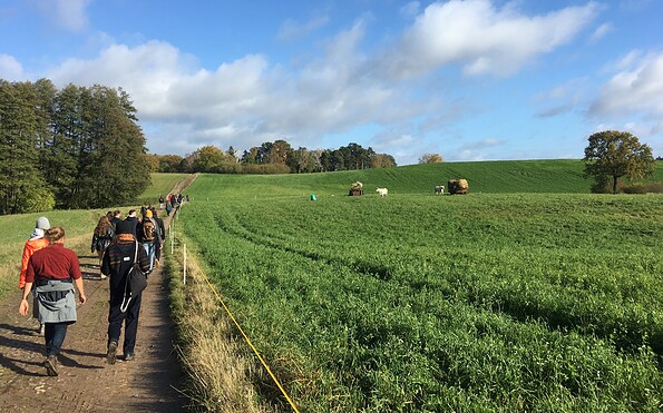 Landschaft rund um Kulturium Warthe, Foto: Michael Heber, Lizenz: Michael Heber