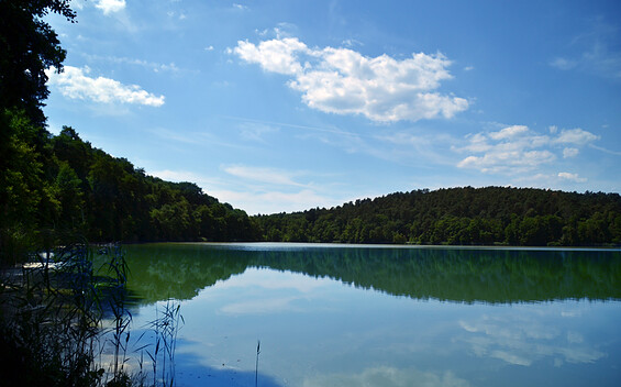 Lake Schenkendöberner See (Fishing Waters C07-115)