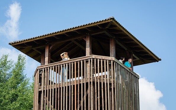 Aussichtsturm in Groß Schauen, Foto: Florian Läufer, Lizenz: Seenland Oder-Spree