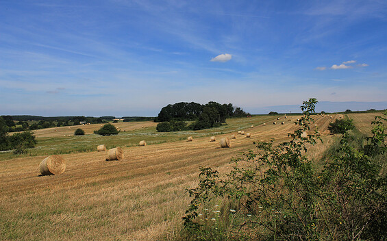 Abwechslungsreiche Landschaft rund um Görzke, Foto: Bansen-Wittig