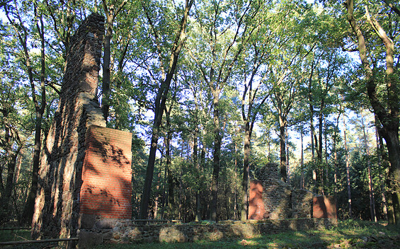 Wanderziel: Kirchenruine Dangelsdorf, Foto: Bansen-Wittig