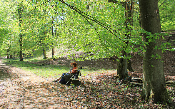 Frühlingsrast im Buchenwald, Foto: Bansen-Wittig