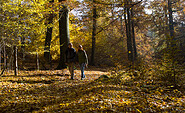 Wandern durch bunten Herbstwald, Foto: Bansen-Wittig