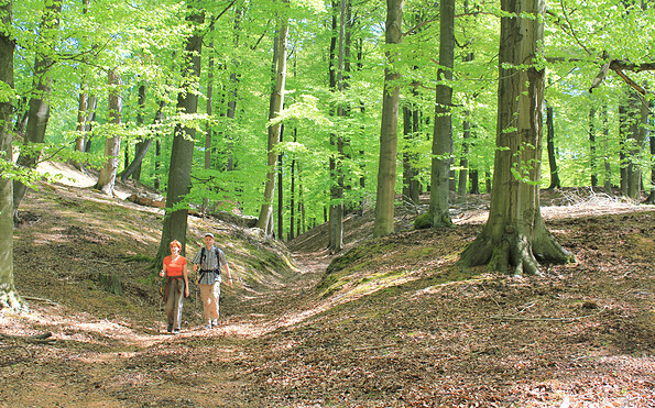 Wandern durch die Springer Rummel, Foto: Bansen-Wittig