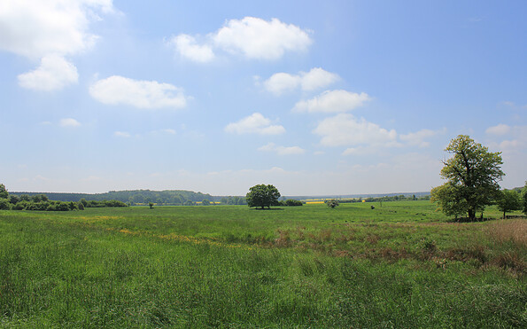 Weiter Blick in die Landschaft bei Wiesenburg, Foto: Bansen-Wittig