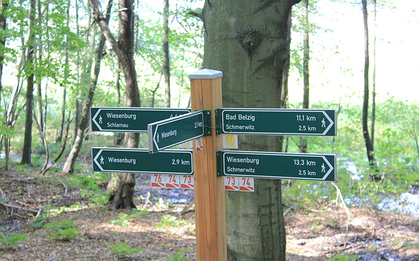 Immer dem Wegweiser folgen, Foto: Bansen-Wittig