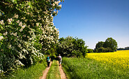 Wandern durch die schöne Landschaft des Naturparks, Foto: Bansen-Wittig