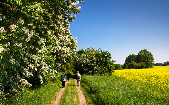 Wandern durch die schöne Landschaft des Naturparks, Foto: Bansen-Wittig