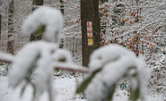 Baummarkierung im winterlichen Wald, Foto: Bansen-Wittig