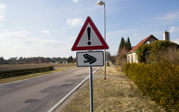 Vorsicht Kröten heißt es im Frühling in Jeserig, Foto: Bansen-Wittig