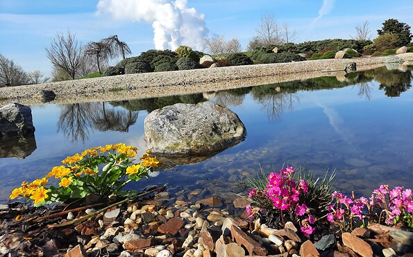 Am Teich, Foto: Findlingspark Nochten, Lizenz: Förderverein Findlingspark