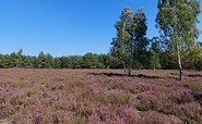 Henzendorfer Heide, Foto: Besucherinformation Amt Neuzelle, Lizenz: Besucherinformation Amt Neuzelle