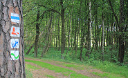 Die oberste Baummarkierung weist auf den E 11, Foto: Bansen-Wittig