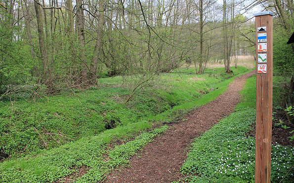 Dem Weg ins Planetal folgen, Foto: Bansen-Wittig