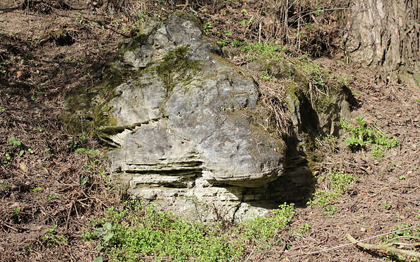 Schollenstein - eiszeitliches Relikt in der Brautrummel, Foto: Bansen-Wittig