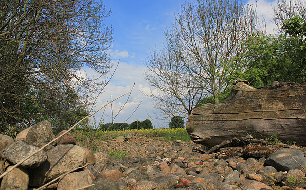 Der Fläming ist steinreich..., Foto: Bansen-Wittig