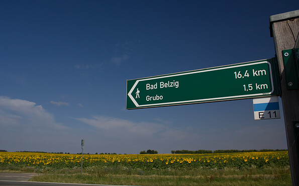 Mit blauem Strich auf weißem Grund ist der E11 markiert, Foto: Bansen-Wittig