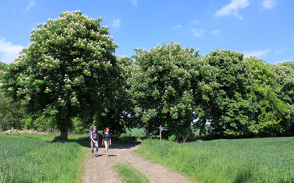 An der Wüstung Groß Glien, Foto: Bansen-Wittig