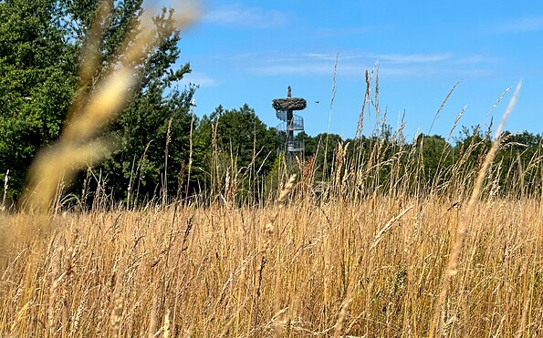 Landidylle im Karthane-Park, Foto: Monique Bessert, Lizenz: Wirtschaftsfördergesellschaft Prignitz mbH