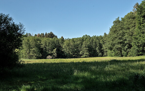 Blick auf die Feuchtwiese an der Kunster, Foto: Jannika Olesch, Lizenz: Brandenburgische Seenplatte GmbH