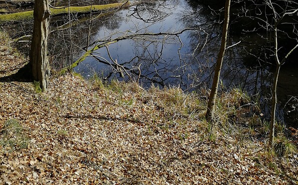 Wanderung zur Kochquelle im Winter, Foto: Michelle Engel, Lizenz: Brandenburgische Seenplatte GmbH