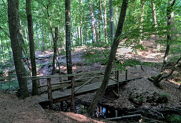 Im Herz der Ruppiner Schweiz ist es leicht hügelig, Foto: Jannika Olesch, Lizenz: Brandenburgische Seenplatte GmbH