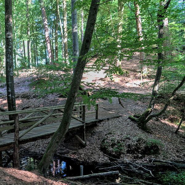 Im Herz der Ruppiner Schweiz ist es leicht hügelig, Foto: Jannika Olesch, Lizenz: Brandenburgische Seenplatte GmbH