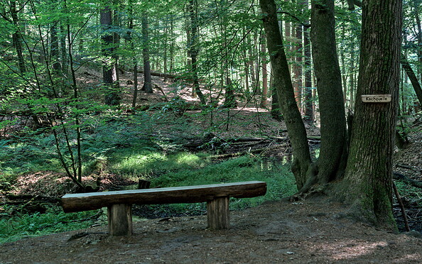 Bank an der Kochquelle, Foto: Jannika Olesch, Lizenz: Brandenburgische Seenplatte GmbH