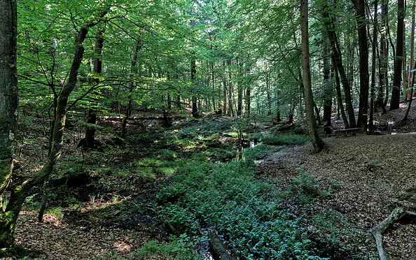 Blick Richtung Kochquelle, Foto: Jannika Olesch, Lizenz: Brandenburgische Seenplatte GmbH