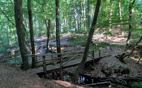 Im Herz der Ruppiner Schweiz ist es leicht hügelig, Foto: Jannika Olesch, Lizenz: Brandenburgische Seenplatte GmbH