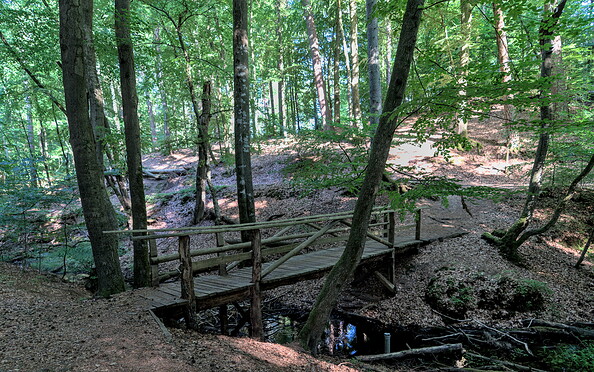 Im Herz der Ruppiner Schweiz ist es leicht hügelig, Foto: Jannika Olesch, Lizenz: Brandenburgische Seenplatte GmbH