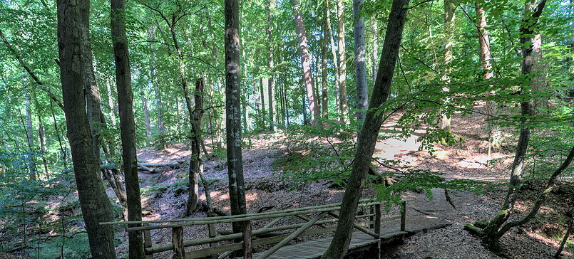 Nature trail to the Kochquelle