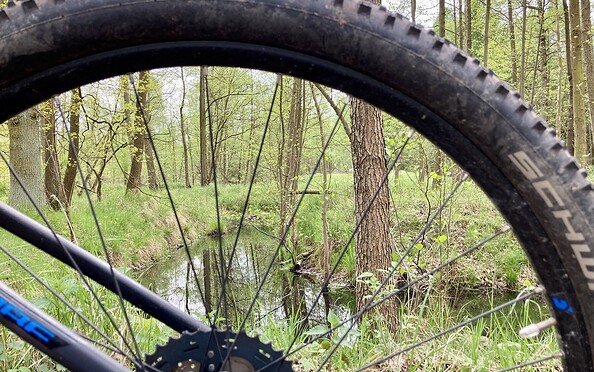 Mal andere Blickwinkel auf die Region, Foto: Itta Olaj, Lizenz: Brandenburgische Seenplatte GmbH