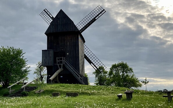 Besichtigung der Bockwindmühle Vehlefanz, Foto: Itta Olaj, Lizenz: Brandenburgische Seenplatte GmbH